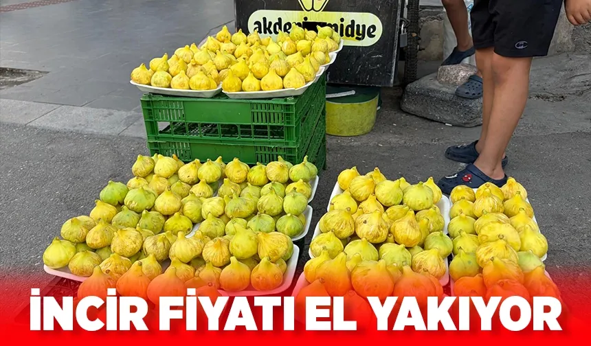 Hasankeyf inciri pazarda
