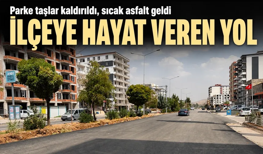 Parke taşlar kaldırıldı, sıcak asfalt geldi