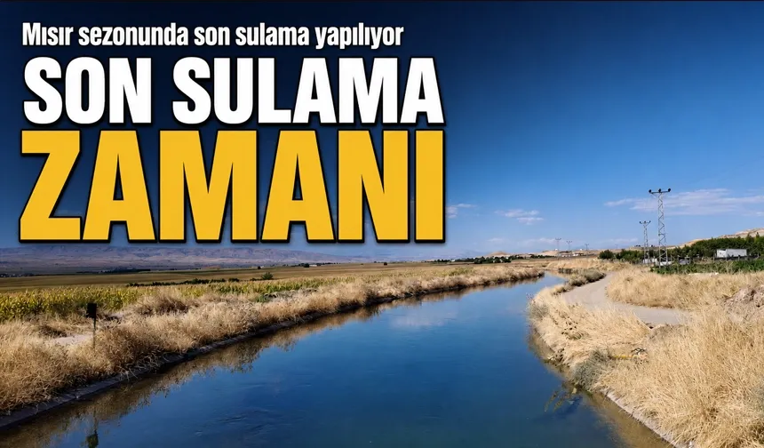 Mısır sezonunda son sulama yapılıyor