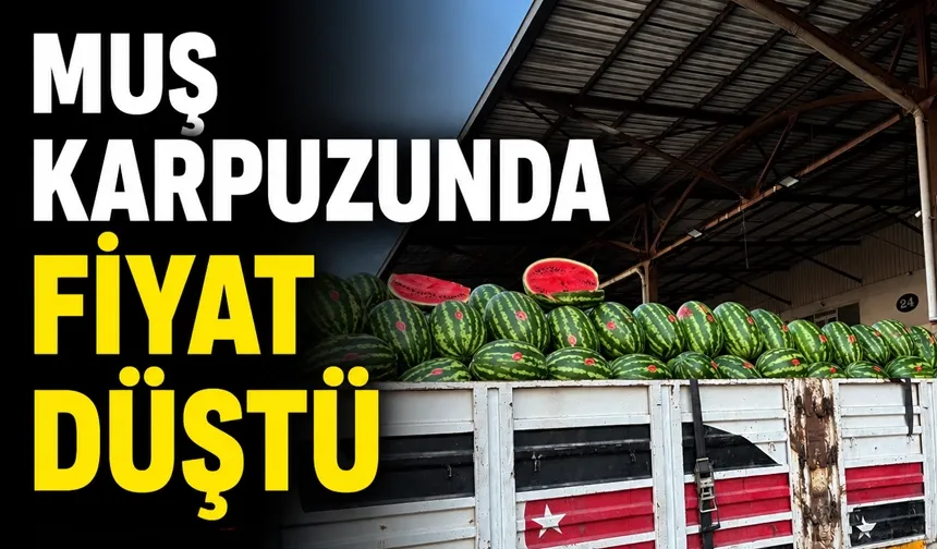 MUŞ KARPUZUNDA FİYAT DÜŞTÜ
