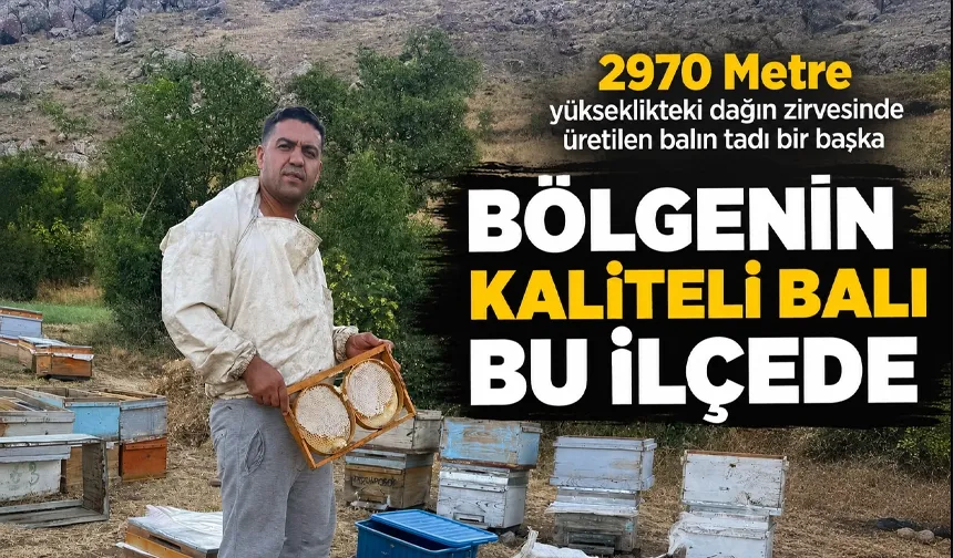 BÖLGENİN KALİTELİ BALI BU İLÇEDE