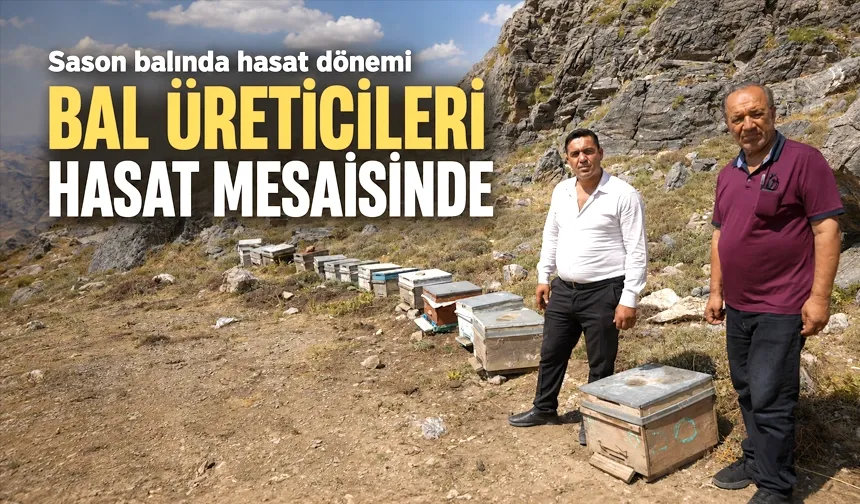 BAL ÜRETİCİLERİ HASAT MESAİSİNDE