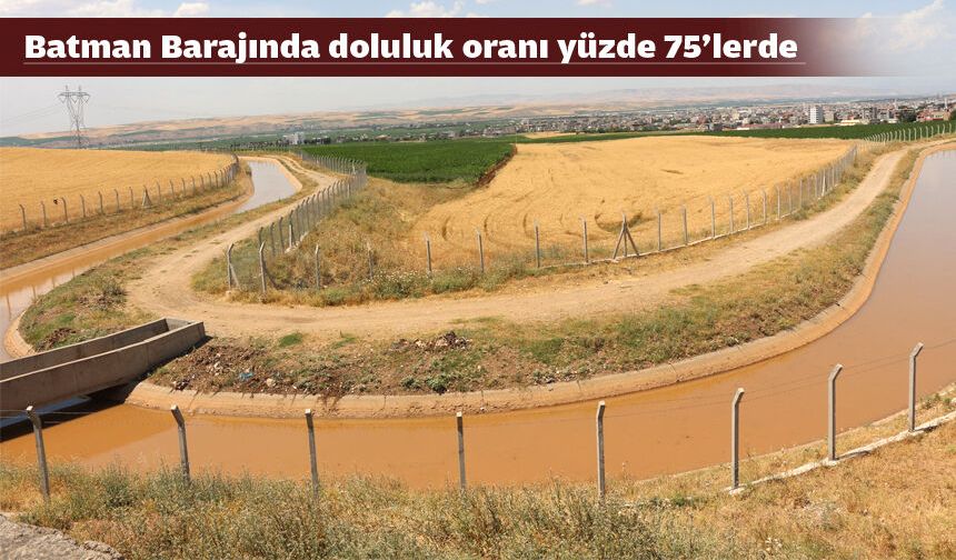 BU YIL BÖLGE KURAK YAZDAN UZAK