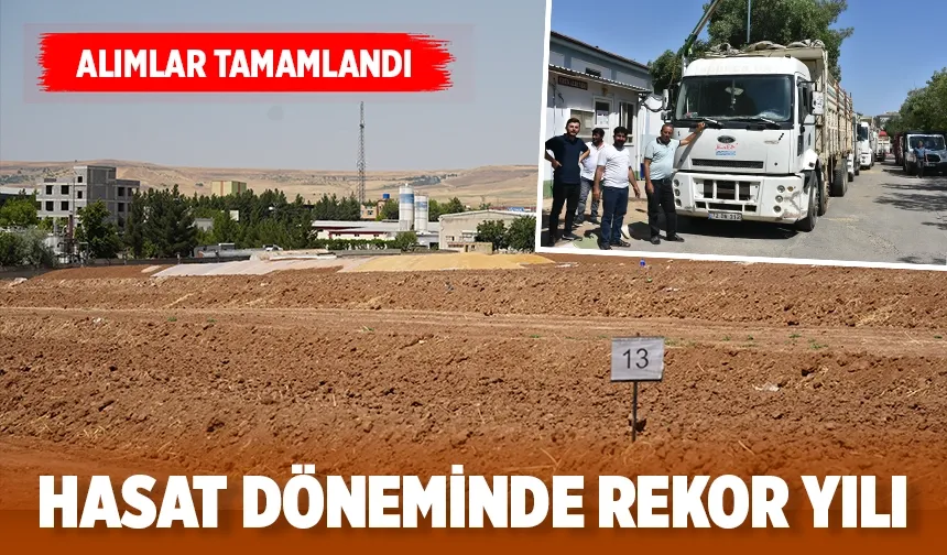 TMO Buğday ve arpa alımını tamamladı