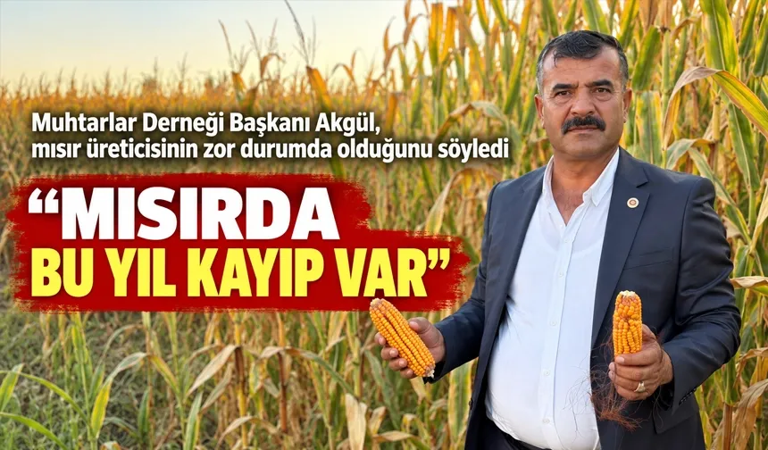 “MISIRDA BU YIL KAYIP VAR”