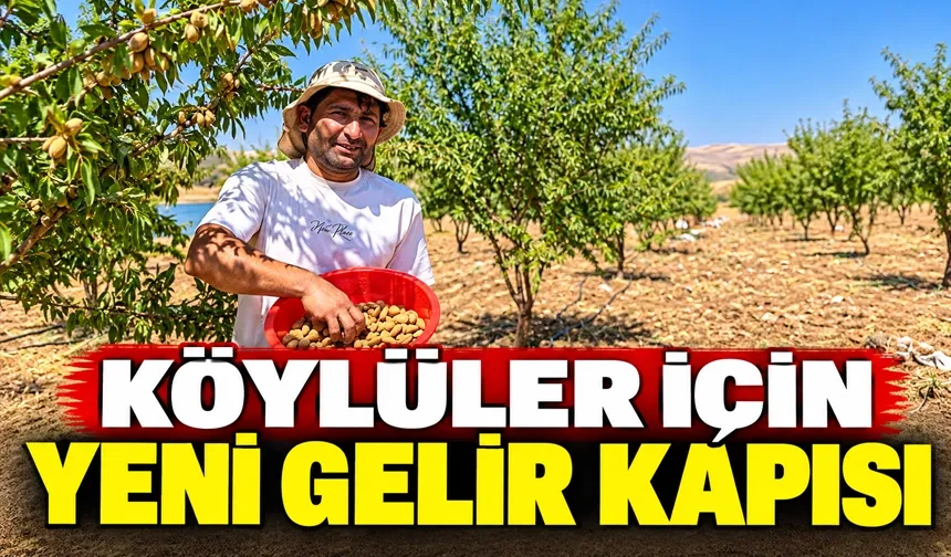 Özel ağaçlandırma destekleri köylülere gelir kazandırıyor