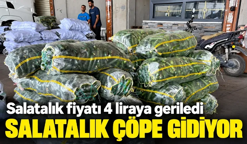 SALATALIK ÇÖPE GİDİYOR