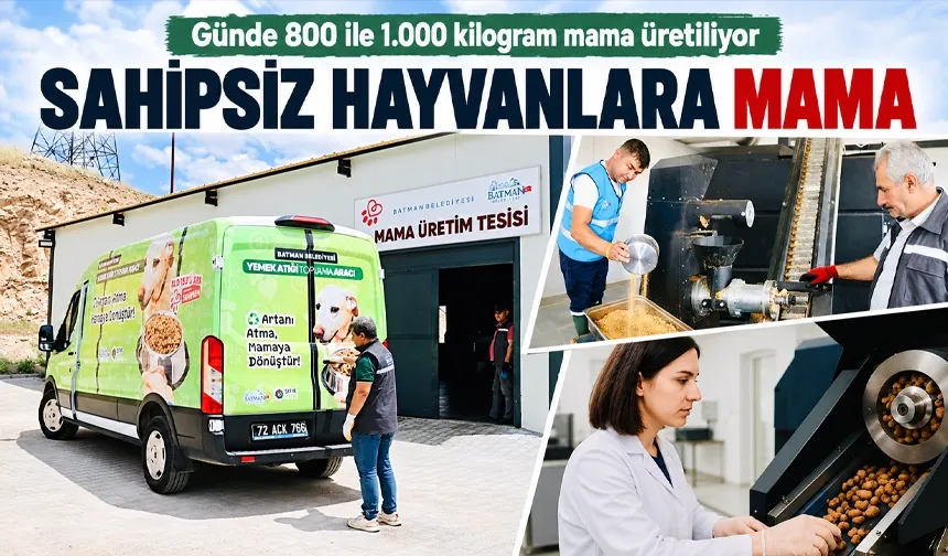Günde 800 ile 1.000 kilogram mama üretiliyor