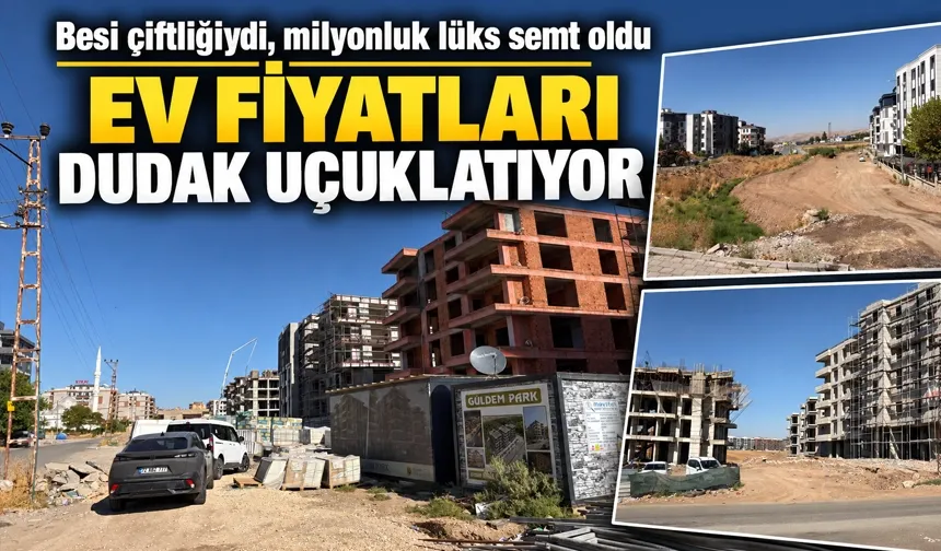 Besi çiftliğiydi, milyonluk lüks semt oldu
