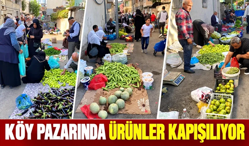 KÖY PAZARINDA ÜRÜNLER KAPIŞILIYOR