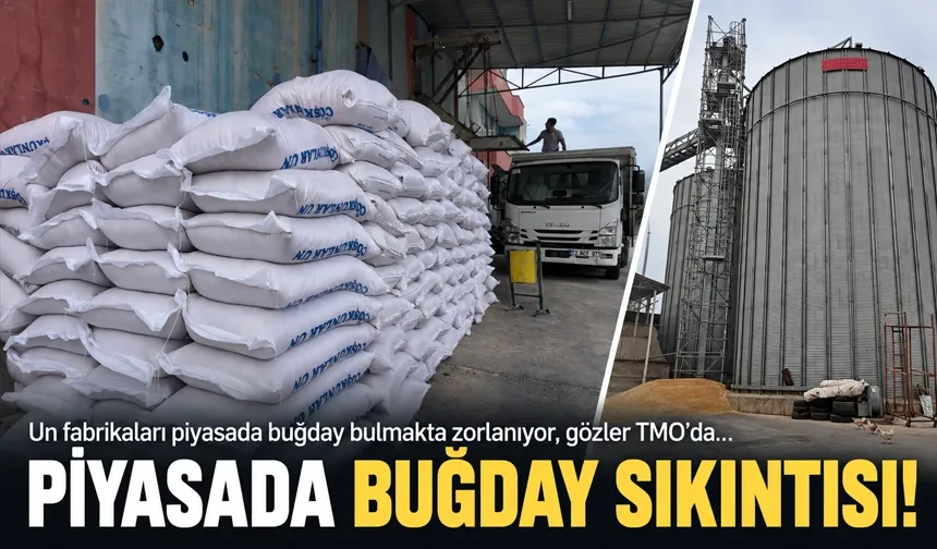 PİYASADA BUĞDAY SIKINTISI!