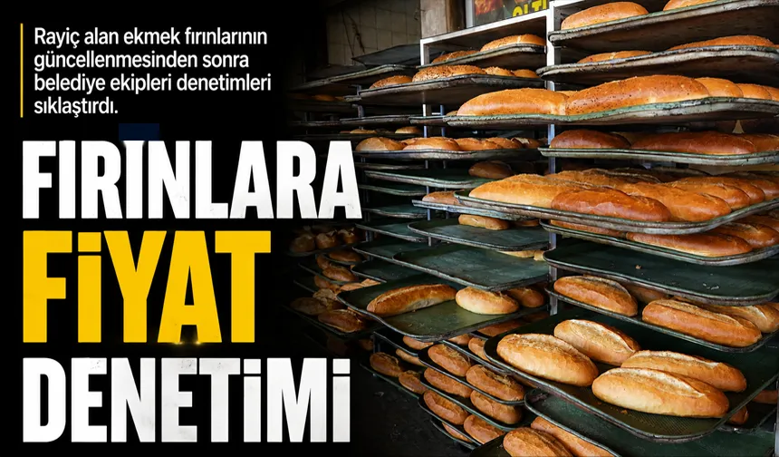 FIRINLARA FİYAT DENETİMİ