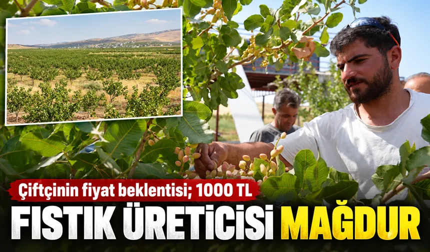Çiftçinin fiyat beklentisi; 1000 TL