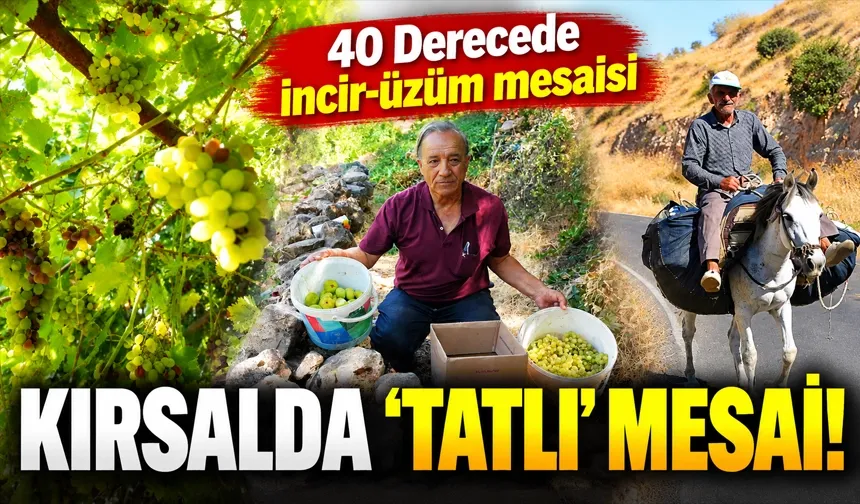 40 Derecede incir-üzüm mesaisi