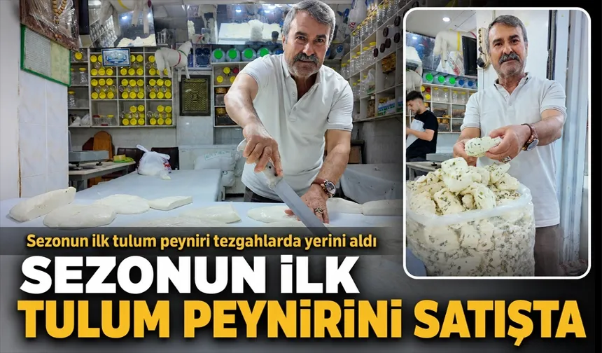 Sezonun ilk tulum peyniri tezgahlarda yerini aldı