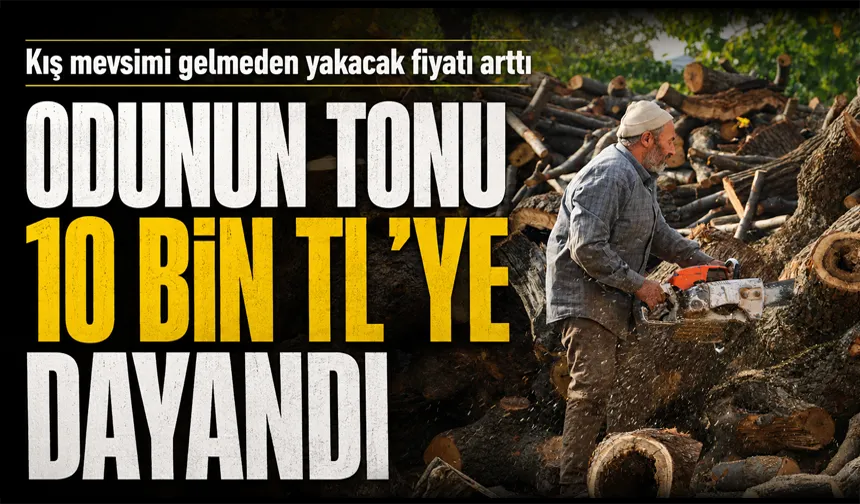 Kış mevsimi gelmeden yakacak fiyatı arttı