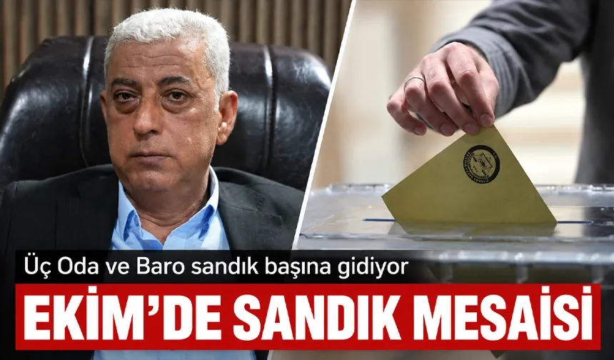 Üç Oda ve Baro sandık başına gidiyor