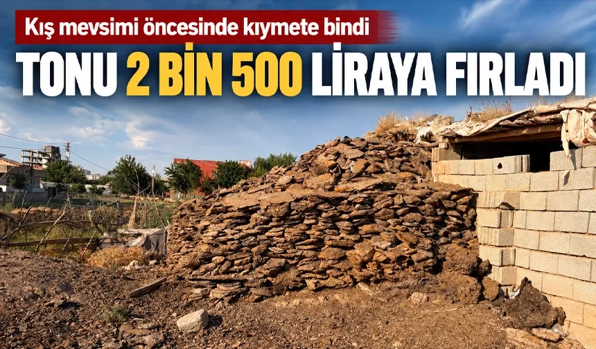 Kış mevsimi öncesinde kıymete bindi