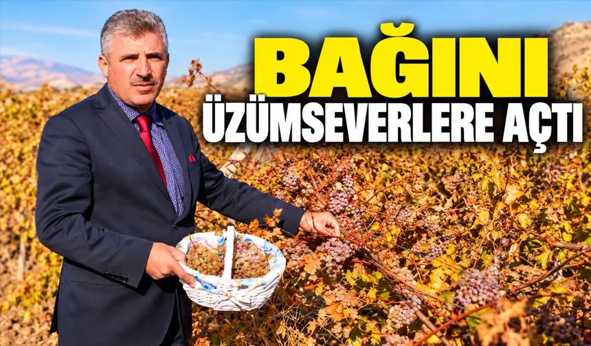 Herkes bu bağdan ihtiyacı kadar üzüm alabilecek