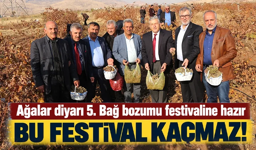 Ağalar diyarı 5. Bağ bozumu festivaline hazır