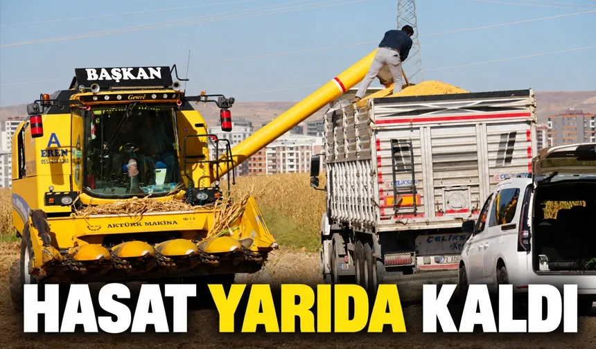 Üreticiyi yağış korkusu sardı