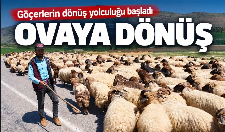 Göçerlerin dönüş yolculuğu başladı