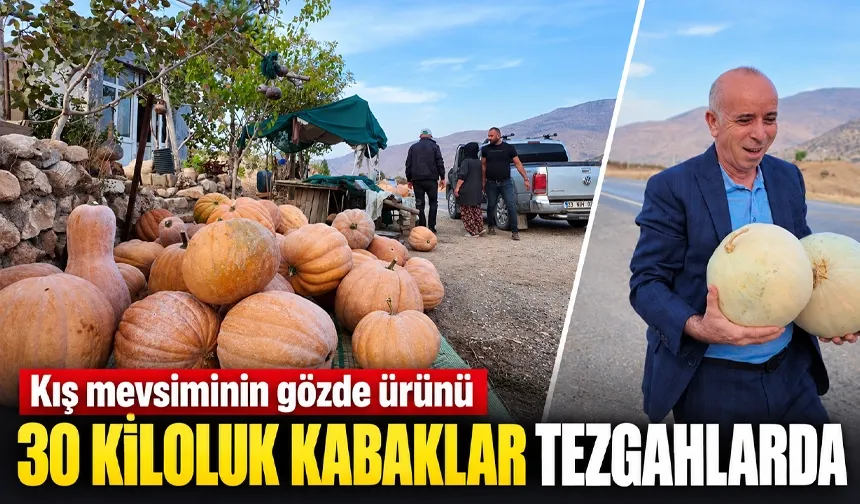30 KİLOLUK KABAKLAR TEZGAHLARDA