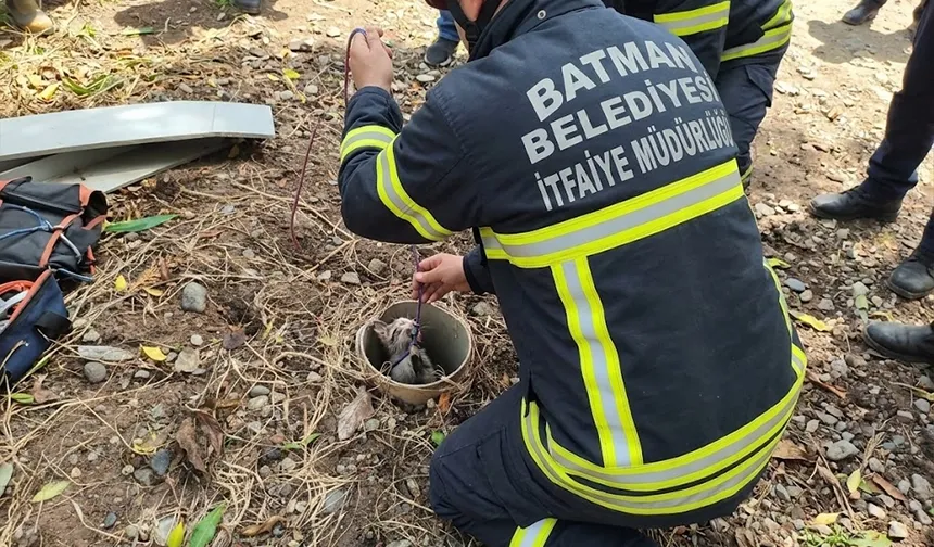 Boruda kalan kediyi itfaiye kurtardı