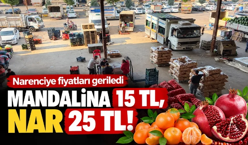 Narenciye fiyatları geriledi