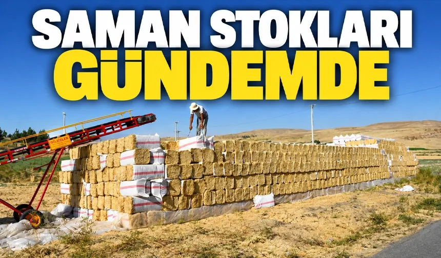 Hububat bolluğundan samanın çoğu tarlada kalmıştı