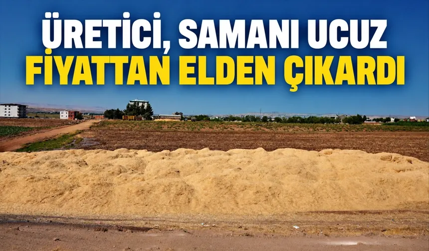 Geçen yıl 15 bin liraydı, bu yıl 9 bin TL