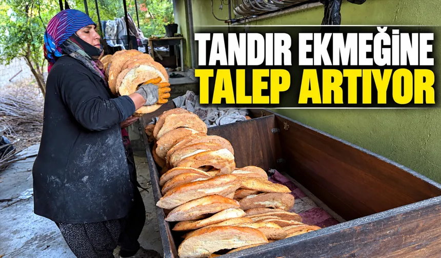 Tandır ekmeği, fırın ekmeğini geçti
