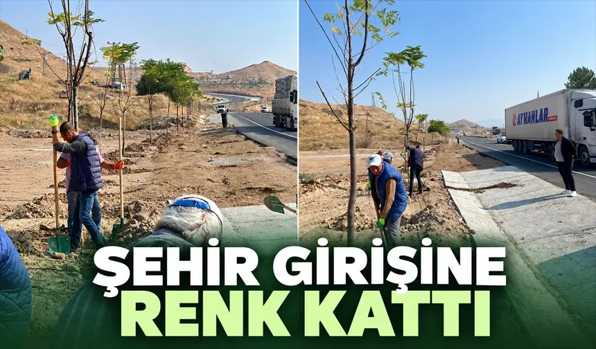 Yeşil Kuşak Projesine adım adım